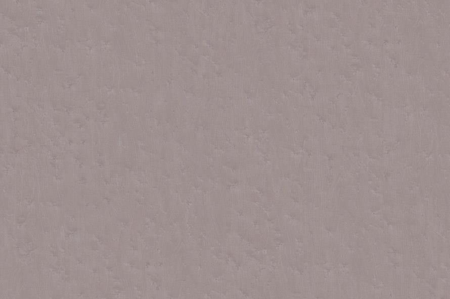 拉德纳雀眼 ZH16505-4Y